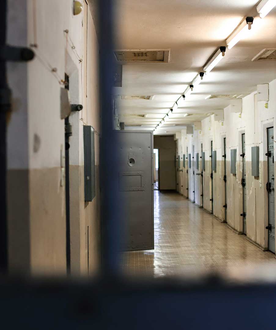 Zava Immigration Law Detención y fianzas