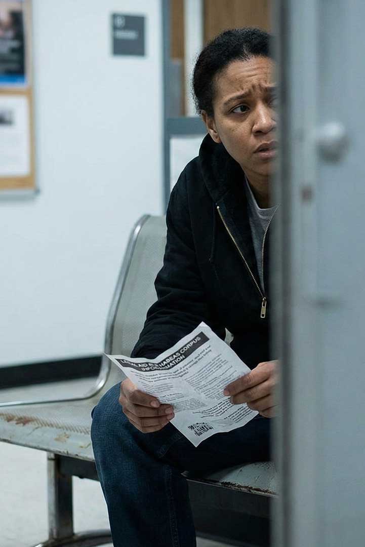 Zava Immigration Law Detention