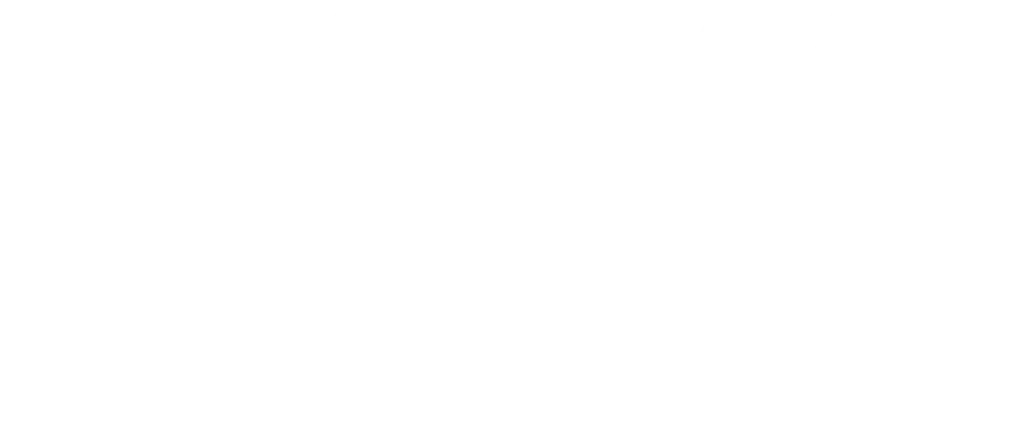 Zava